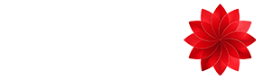 streamit